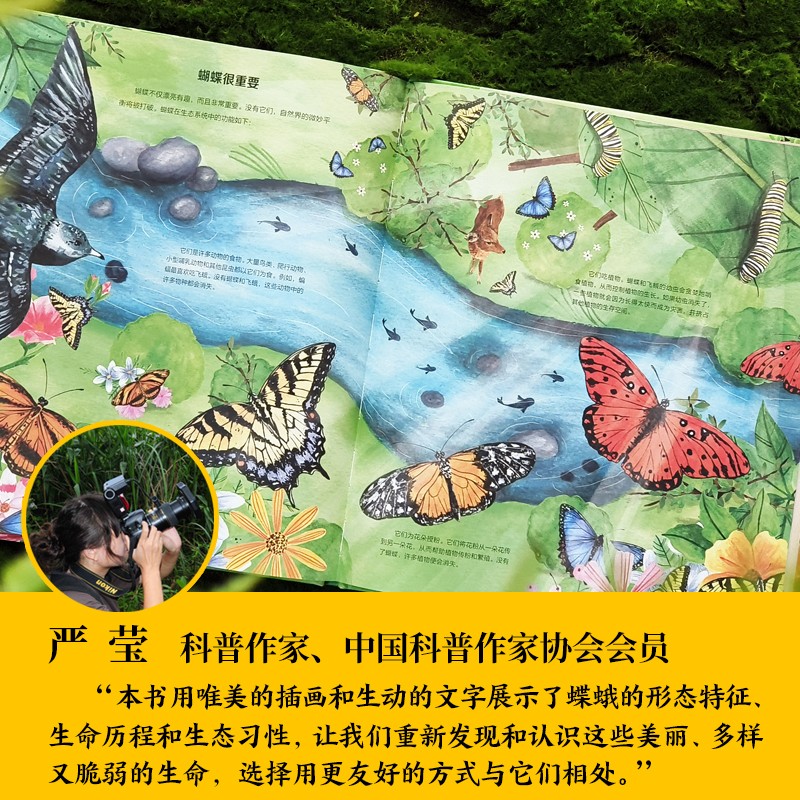 蝴蝶的秘密生活 [正版]蝴蝶的秘密生活 人文科普科学自然知识教育 儿童读物童书绘本 精装全彩大开本 译林出版社高清大图