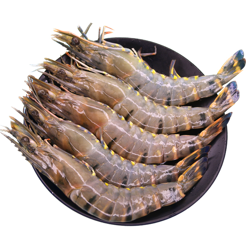 赛卡伊黑虎虾超大新鲜海鲜大虾冷冻老虎虾超大对虾鲜活九节虾速冻斑节
