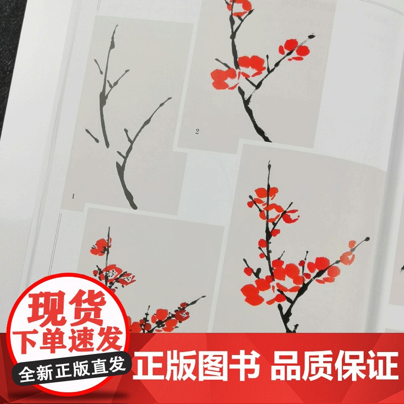 梅兰竹菊画谱技法详解 写意花卉画国画技法中国画画谱梅兰竹菊的结构画法步骤构图原则名家范画王绍华编著书籍 上海人民美术出版高清大图