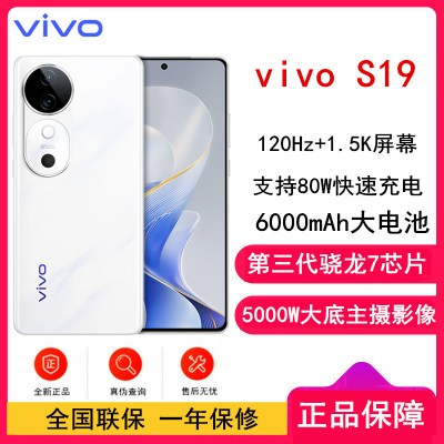 vivo S19 12GB+512GB 烟雨青 全网通5G手机