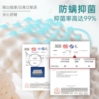 PARATEX天然乳胶枕 泰国原装进口护颈椎枕 按摩枕 减压舒睡乳胶枕头礼盒 枕芯 矮款 居家女款 高低两用