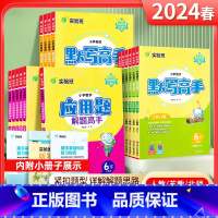 [默写+应用解题高手]语数-苏教版 二年级下 [正版]2024春雨实验班应用解题高手一年级二年级三年级四4五5六下册语文