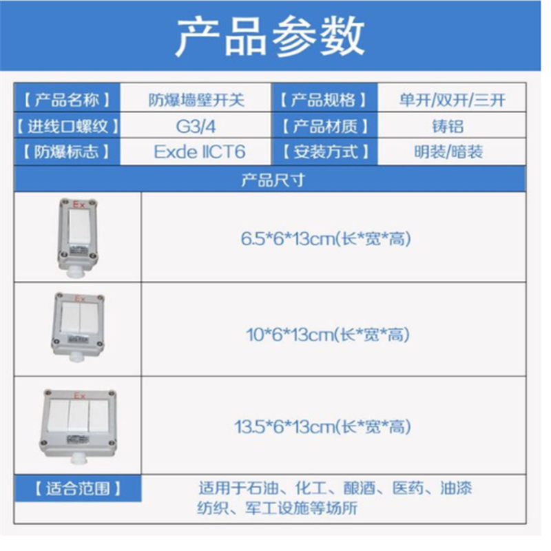 防爆开关 10A,220V,单开