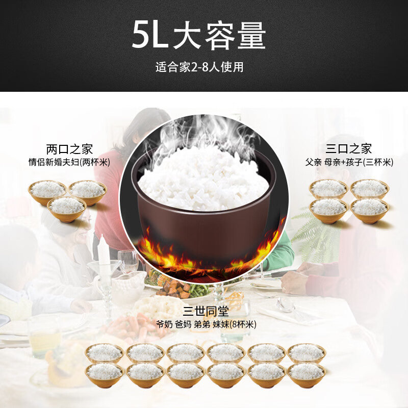 龙的 LD-YL5015S 电压力锅 5L双胆家用煲汤电压力锅压力煲多功能智能预约高清大图