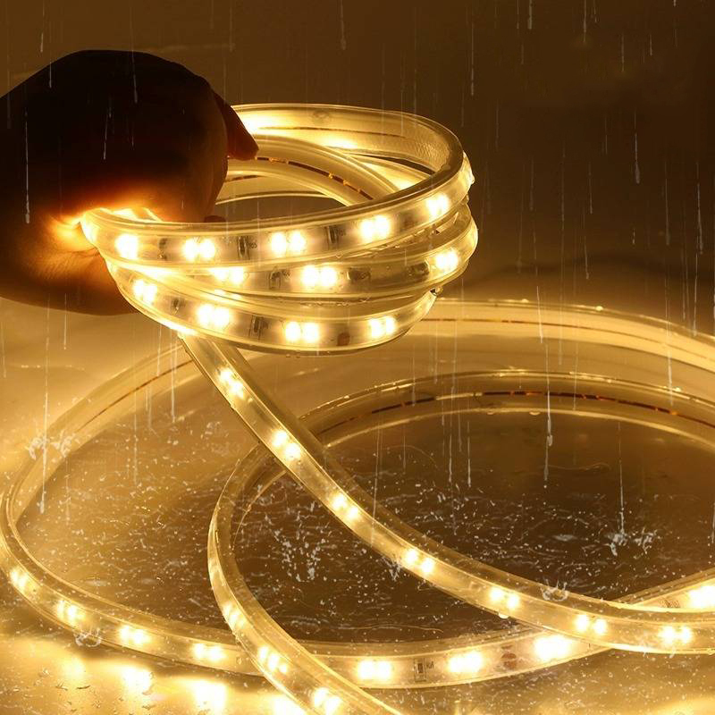 亮思能 LED户外防水灯带 低压灯带 LSN-XOL 米(120珠白光)高清大图