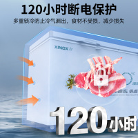 星星(XINGX)BD/BC-518GS超低温厨房商用保鲜设备卧式冷柜单温冷藏冷冻转换柜家用大容量深冷速冻柜铜管制冷