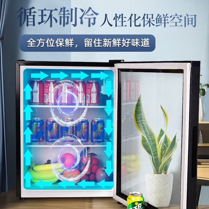 美菱 (MELING)立式家用冰吧 冷藏保鲜迷你展示柜 茶叶水果护肤品小型冰柜SC-79L
