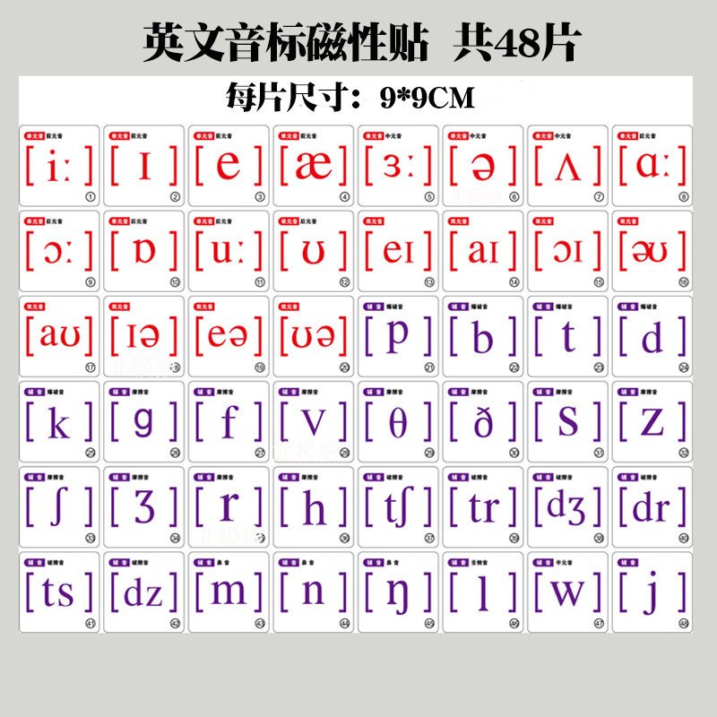 Tololo磁力棒 磁贴26个英文字母48个英文国际音标磁性英文大小写字母贴笔顺26个英文字母卡片教学黑板磁贴英语 教具中号国际音标一套 送一支白板笔 价格图片品牌报价 苏宁易购芜湖小虫子专营店