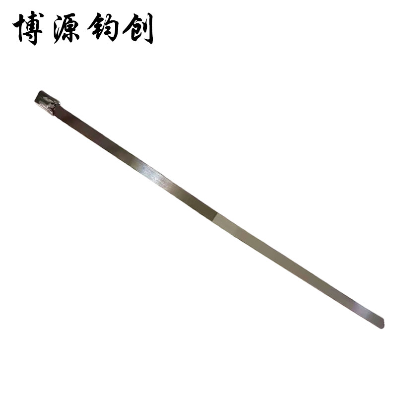 博源钧创 304不锈钢扎带 7.9*800MM 根高清大图