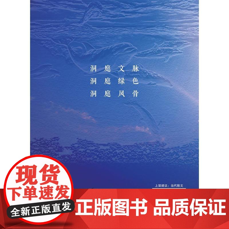 与洞庭书 潘刚强 百花文艺出版社 正版书籍高清大图