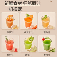 九阳(Joyoung) 榨汁机原汁机家用汁渣分离果汁机多功能鲜榨炸水果炸汁机全自动迷你便携果蔬料理机 LZ198
