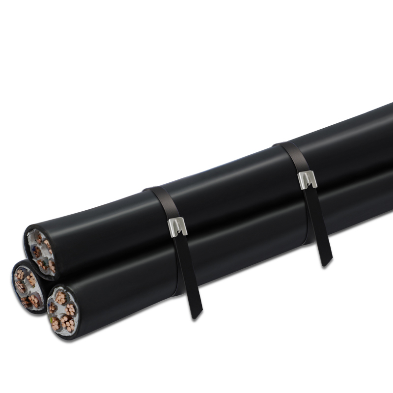 双箭包塑不锈钢扎带5*380mm100根/包 1包