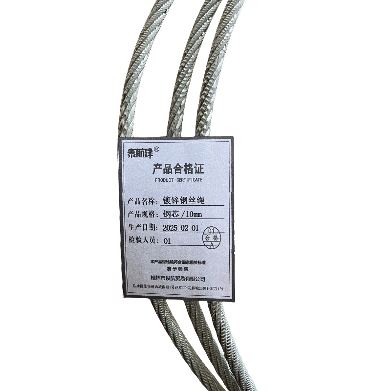 泰航建 镀锌钢丝绳 钢芯/10mm 米高清大图