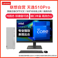 联想(Lenovo)天逸510Pro 12代酷睿分体机台式电脑 (i5/16G/1T+256G/集显/19.5) 定制 商务办公学习个人家用企业采购台式机