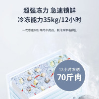 haier海尔320/429/519升零下-40度超低温冰柜海鲜冷柜商用冷柜冷藏冷冻大冰柜速冻柜BC/BD-519HCM