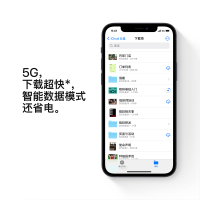苹果(Apple)iPhone 12 256GB 黑色 移动电信联通5G全网通 A14处理器 5G速度 瓷晶面板 航空级铝金属边框 夜间模式 后置双1200万像素 5G全网通手机