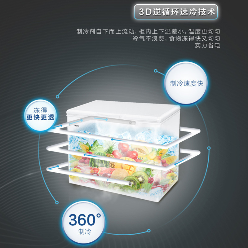 海尔(Haier)卧式冷柜 BC/BD-316HBZ大富豪系列 顶开门单温