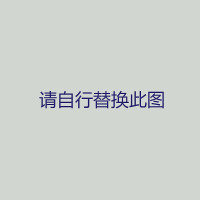 HiZHG 涂胶机配件100CC活塞泵止回阀维修包01.001.006.001221