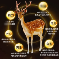 北京同仁堂 3盒疗程 鹿血玛咖牡蛎肽片7.2g成年男性鹿血牡蛎片运动营养