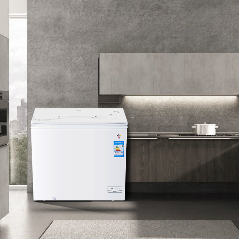 海尔(Haier)BC/BD-203HCD 203升家用冰柜 冷藏冷冻转换冷柜 彩晶小型迷你冰箱 节能单温冷冻柜
