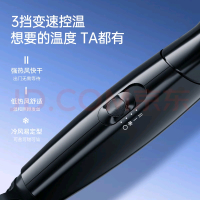 飞科 FLYCO 电吹风 FH6231 2000W大功率 恒温护发技术