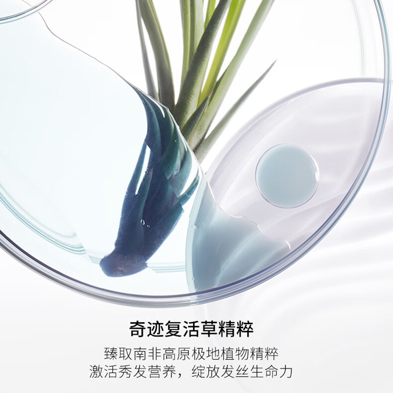 卡诗(KERASTASE)强韧修护洗发水250ML高清大图