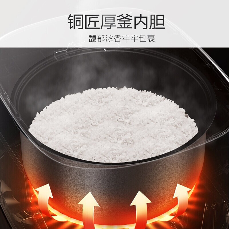九阳(Joyoung) 电饭煲 多功能 5升 智能预约 蒸煮焖炖家用铜釜火饭电饭锅 F50FZ-F510高清大图