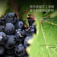 西班牙原瓶原装进口达颜经典脱醇赤霞珠红葡萄酒750ml*6商务婚宴应酬挡酒
