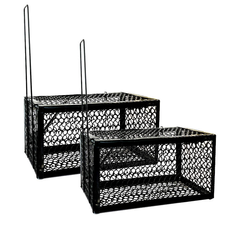 老鼠贴强力粘鼠板捕鼠神器家用鼠笼老鼠特效药扑捉器抓大老鼠夹子[4个装]大号/加粗加厚[灭鼠神器]高清大图