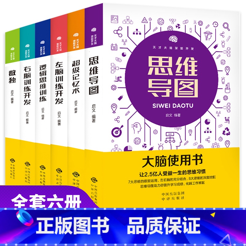 大脑使用书6册记忆力训练书 【正版】大脑使用书6册记忆力训练书 数学智力开发 思维导图全脑开发益智游戏大脑思维书籍 逻辑