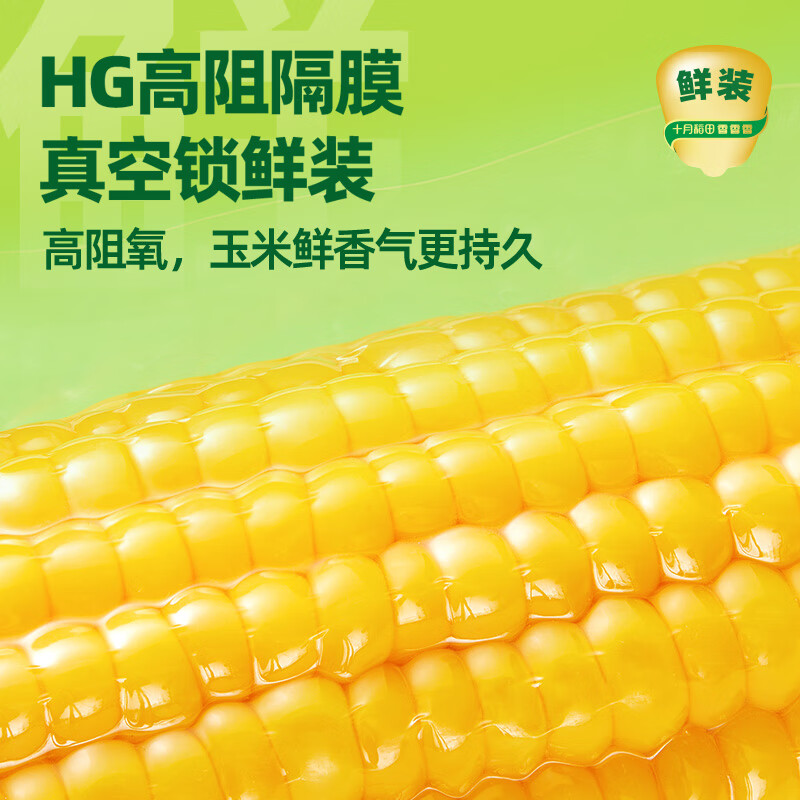 十月稻田鲜食黄糯玉米1.32kg(220g*6)香甜软滑黏糯0添加真空包装高清大图