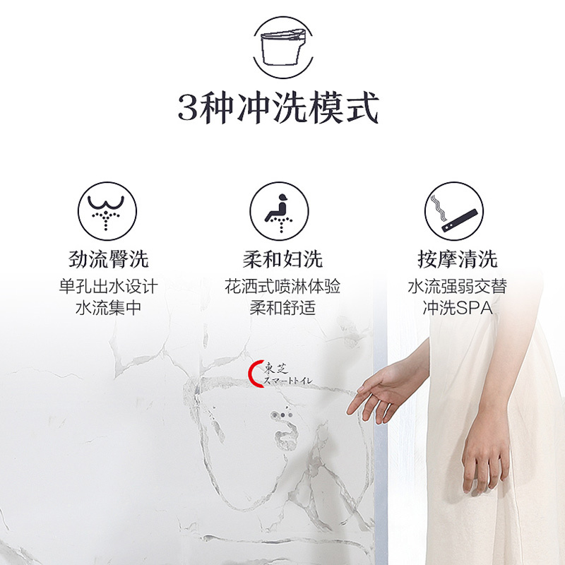 东芝(TOSHIBA)A3-85B6智能马桶盖一体机坐便器多种清洗模式即热暖风遥控马桶盖