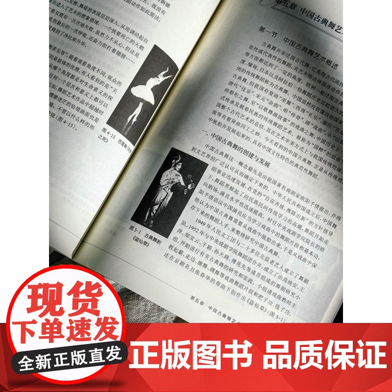 舞蹈艺术鉴赏 高等院校音乐通用教材 大学舞蹈专业理论课程 公共艺术素养课程教材 华东师范大学出版社高清大图