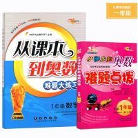 全套2册 从课本到奥数一年级难题点拔+难题大练习 1年级数学奥林匹克同步练习册68所名校图书 奥数教辅书籍