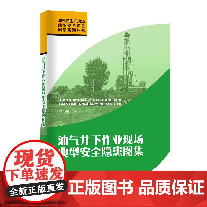 油气井下作业现场典型安全隐患图集 中国石化出版社