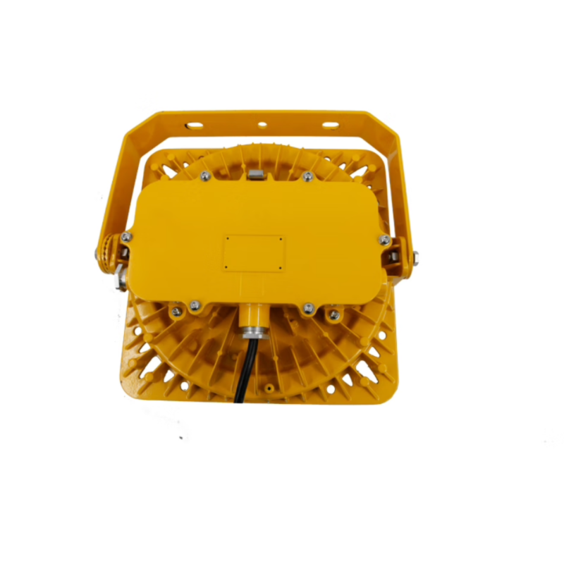 海洋王 BFC8117-GW LED防爆泛光灯 200W(计价单位:盏)黄色