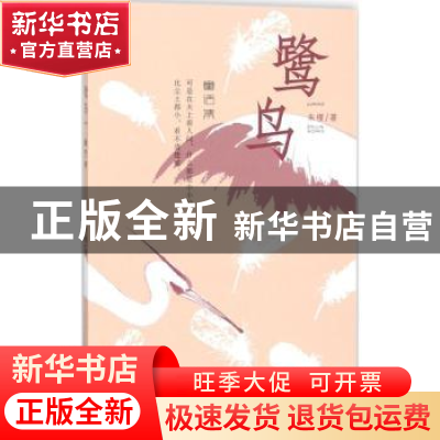 正版 鹭鸟 朱槿著 广东旅游出版社 9787557010652 书籍