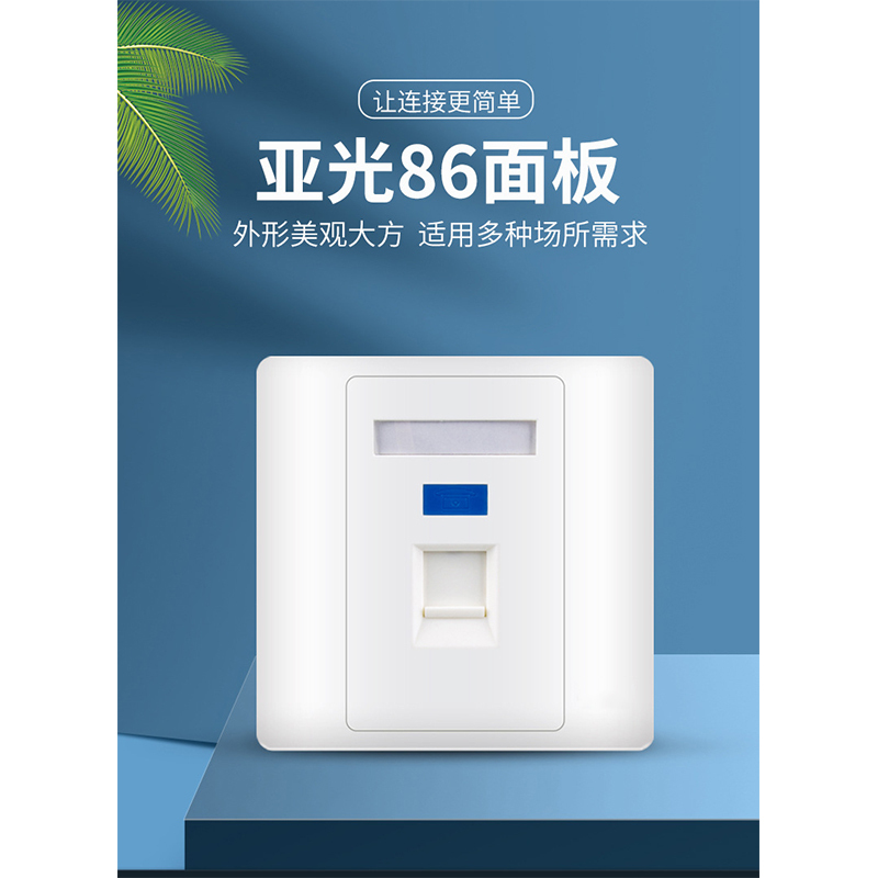 中泓汇达(ZHHD)2口 网络接口模块 插座网络面板(带模块)