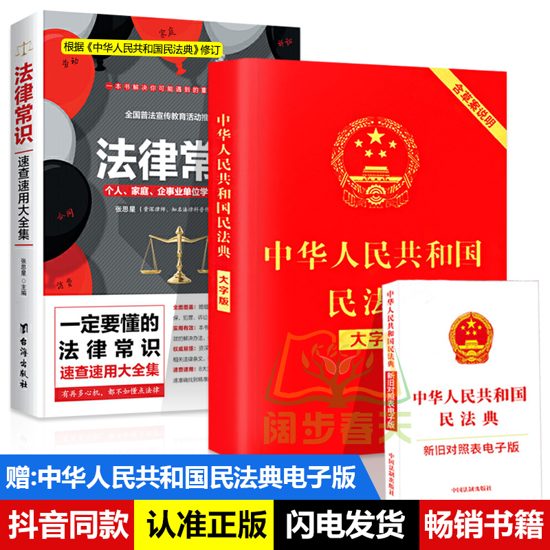 中华人民共和国民法典大字版+法律常识速查速用大全集 刑法民法婚姻继承物权法侵权保险法基础知识全知道高清大图
