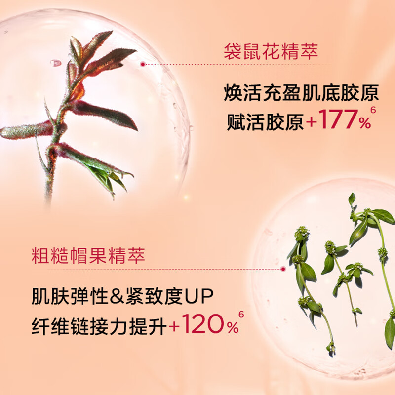 娇韵诗(CLARINS)焕颜弹力精华水200ml [弹簧水]高清大图