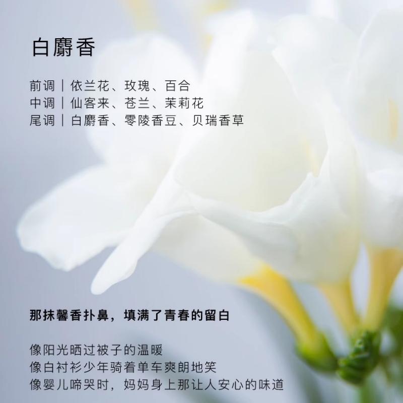 东方宝石保湿香氛身体霜(白麝香香)高清大图