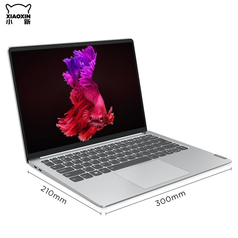 联想(Lenovo)小新Pro13 新品 13.3英寸全面屏超轻薄本笔记本电脑(R5-3550H 16G 512G 2.5K QHD高分屏 )银