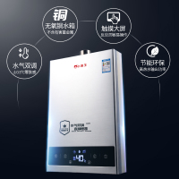 小霸王 DS6008燃气热水器家用12L天然气智能变频恒温特价强排式