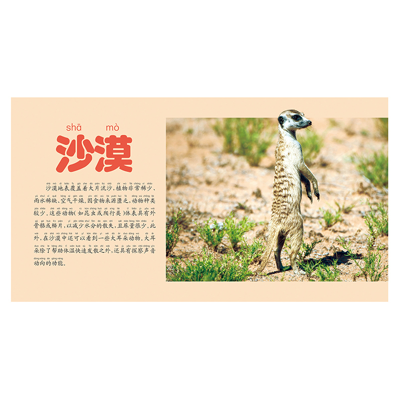 [醉染正版]晨风童书多彩童年我爱读系列 野生动物大百科彩图注音版 生动有趣的文字探秘动物世界 动物生活大百科3-8岁少儿
