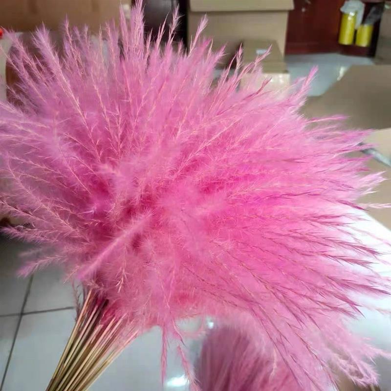 芦苇干花花束麦穗干花仿真花田园装饰ins拍照道具稻穗真花