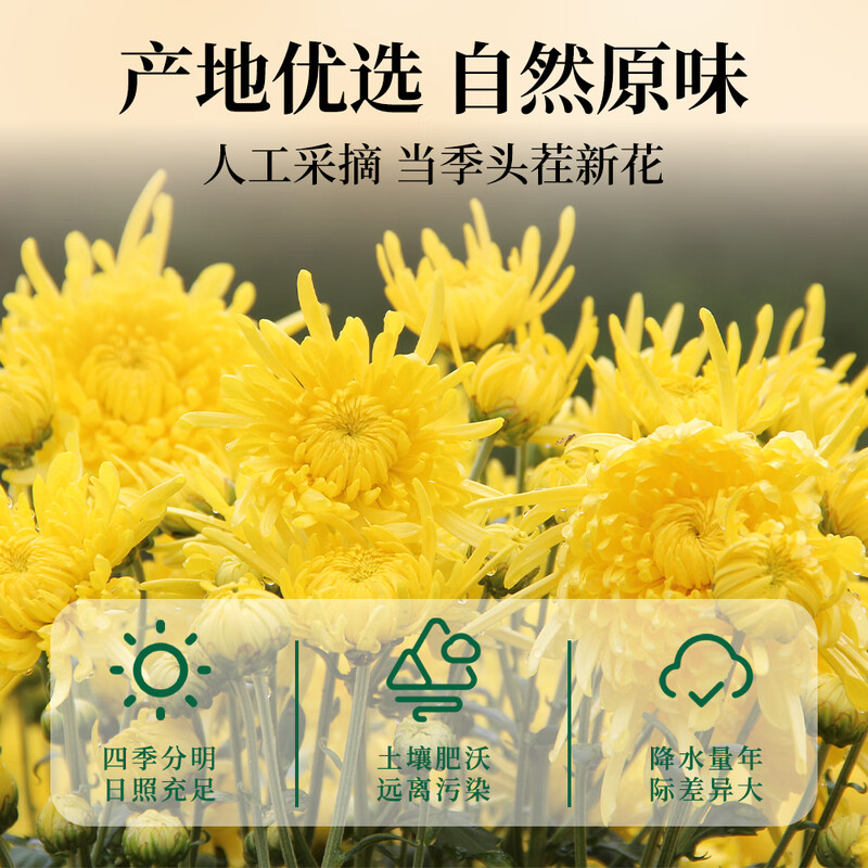 福茗源花草茶 菊花茶金丝皇菊 精选特级品质30大朵一朵一杯泡水喝20g高清大图