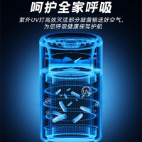 空气净化器除甲醛家用除甲醛抗菌吸烟宠物负离子除臭卧室桌面小型净化机
