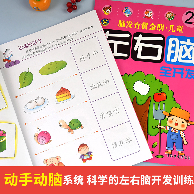 [正版]2-3岁儿童左右脑全脑智力开发抓住脑发育黄金期均衡开发大脑潜能逻辑思维训练书三两岁宝宝书籍益智早教书本专注力记