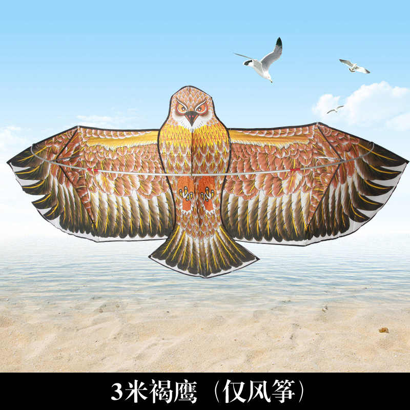 2020年潍坊新款儿童初学者微风易飞老鹰成人大型风筝大特大创意 三维工匠 3米烫金褐鹰(仅风筝)高清大图