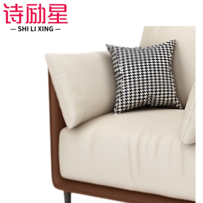 诗励星沙发单人位棕色80*70*80cm张高清大图